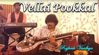 Vellai Pookkal  Rajhesh Vaidhya [upl. by Norman]