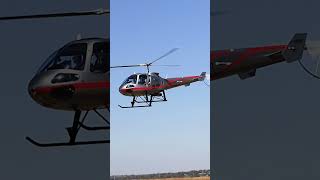 Ever seen an Enstrom helicopter rare flyby helipilot short shortvideo [upl. by Connor460]