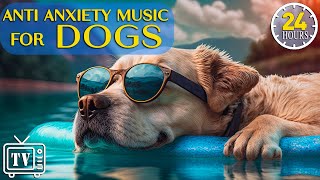 24 Hours of Anti Anxiety Music for Dogs Cure Separation Anxiety with Dog Music amp Dogs Calming Music [upl. by Eillek]