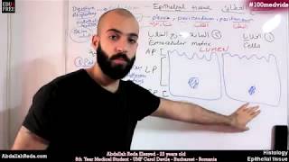 هستولوجي Epithelial cell polarity قطبية الخلايا الغطائية  عبد الله رضا MD  Rocademia روكاديميا [upl. by Thomas]