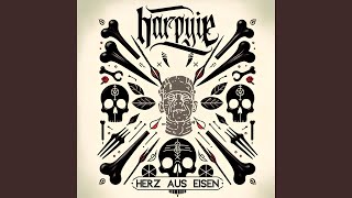 Herz aus Eisen feat Soulbound [upl. by Aisyram]