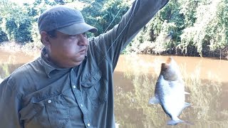 🇧🇴 muchos peces por san julian santa cruz bolivia [upl. by Kaliope]