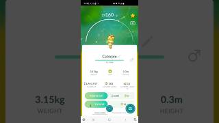 I Evolved My Shiny Caterpie In PokémonGo Like Subscribe MeloWorld Shiny Chill Fun Vibes [upl. by Anbul]