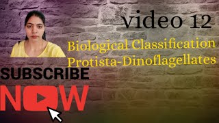 Biological Classification l protistaDinoflagellates l NCERT NEET Biology Class 11 l [upl. by Langbehn]