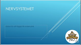 Nervsystemet [upl. by Nosyarg348]