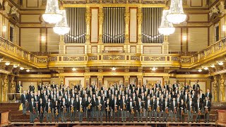 Die Wiener Philharmoniker auf fidelio [upl. by Cassandra139]