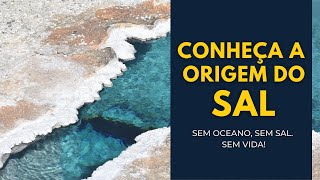 CONHEÇA A ORIGEM DO SAL [upl. by Adnolay]