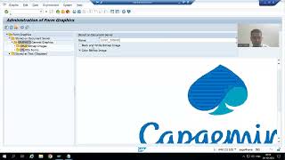 15  SAP Scripts  Creation of Graphics [upl. by Danelle]