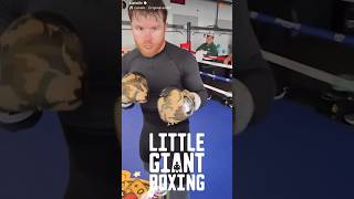 SCARY CANELO POV BLASTING THE MITTS LIKE A BEAST [upl. by Blanch]