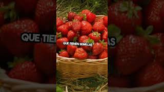 10 Sorprendentes Datos sobre las Fresas [upl. by Arenat]