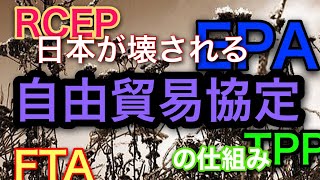 日本を破壊する自由貿易協定の仕組みーFTA・EPA・TPP・RCEP－ [upl. by Mharba377]