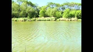 SWANBOROUGH FARM FISHERY NR LEWES EAST SUSSEX [upl. by Naloc]