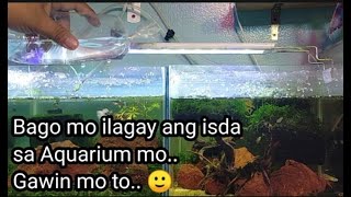 Do this Before Putting your Newly Brought Fish in your Aquarium  Acclimatization and Quarantining [upl. by Adey]