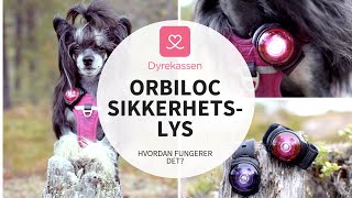 Hvordan fungerer Orbiloc sikkerhetslys  Dyrekassenno [upl. by Alatea]