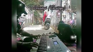 PELANGI Chrisye  Covered by Piano [upl. by Acinimod]