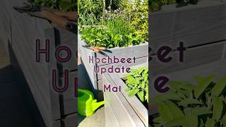 Hochbeet Update Mai 2024 1 [upl. by Tifanie]