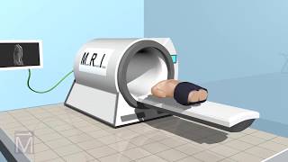 SeeThru Science How MRI Machines Work [upl. by Adah]