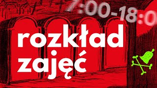 PLANY LEKCJI w Polsce to żart  Dla każdego coś przykrego 49 [upl. by Dragone772]