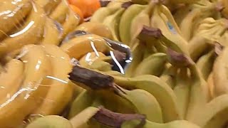 Cecile Kuwait vlog is live lets go buy big Banana fruits [upl. by Neruat]