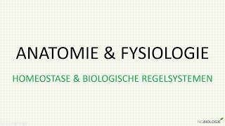 Homeostase en biologische regelsystemen [upl. by Anialam]