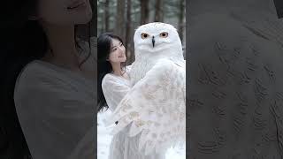 Beautiful Owl in snow too much cold weather aigenerated aivideo [upl. by Nail]