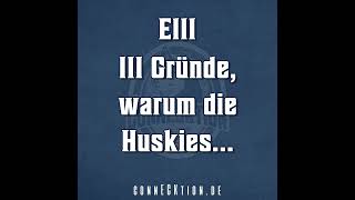 E111  111 Gründe warum die Huskies [upl. by Nahraf390]