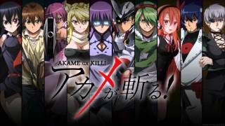 Akame Ga Kil  Incursio Theme [upl. by Brotherson373]