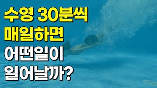 매일 30분 수영하면 몸에서 일어나는 변화 5가지 [upl. by Ylerebmik]