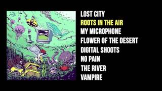 Iseo amp Dodosound  Roots in the Air Full Album [upl. by Sloan]