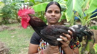 சளியை விரட்டும் நாட்டு சேவல் குழம்பு  Nattu Kozhi Seval Kulambu in Village Style [upl. by Mandelbaum580]