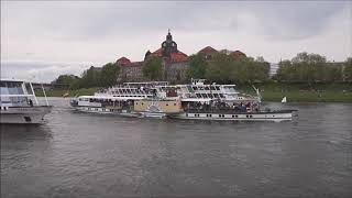 Dresden  Dampferparade 2018 01 Mai 2018 [upl. by Jadwiga400]