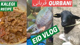 Bakra Eid Qurbani at our Farmhouse Kurbani Vlog 2020  Kaleji Recipe by FoodNSpices EidulAdha2020 [upl. by Ayoras]