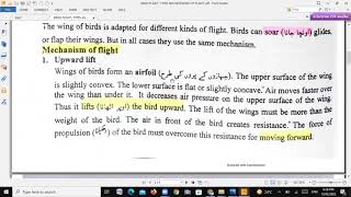 MECHANISM OF FLIGHT IN BIRDS TYPESofFLIGHT [upl. by Anneliese589]