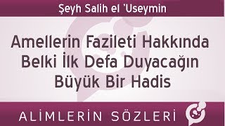 Belki İlk Defa Duyacağın Büyük Bir Hadis  Şeyh el Useymin [upl. by Nerwal]