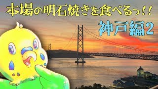 旅するインコが、本場の明石焼きをたべたよ 舞子ビラから見る夕景も最高 [upl. by Niwde871]