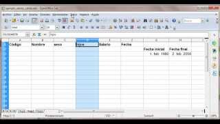 Validez de datos en OpenOfficeorg Calc 4 [upl. by Inot]