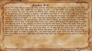 Exodus 46 [upl. by Arehsat]