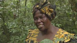 Wangari Maathai Tribute Film [upl. by Atterual430]