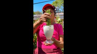 EL mejor CICATRIZANTE Y ENRAIZANTE para tus plantas LA CAL  ENRAIZANTE casero para CACTUS y FLORES [upl. by Keller]