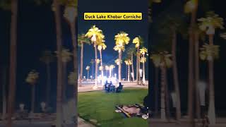 Duck Lake  Khobar Corniche  shorts shortvideo viralvideo love viralshorts song viralsong [upl. by Voletta]