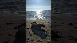 Lurcher at rest Lake Huron [upl. by Esiled]