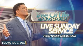 Tree of Life Healing Church Live Sunday Service 30 June 2024 [upl. by Prouty105]