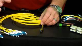 MTP Breakout Cables Video [upl. by Iramohs]