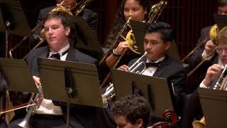 Polovetsian Dances  Borodin  Houston Youth Symphony [upl. by Tips341]