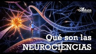 ¿Qué son las Neurociencias [upl. by Leander]