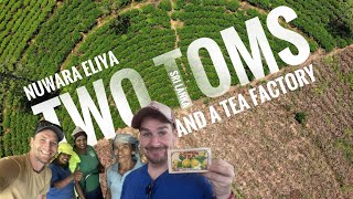 Ep 4  Two Toms and a Tea Factory in Nuwara Eliya Sri Lanka LemonVlog 4 [upl. by Tacye]