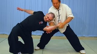 Tai Chi Fighting Taijiquan Martial Applications Yangstyle 37postures YMAA [upl. by Braasch]