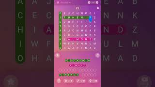 Word Search puzzle 310 I tink I am going nuts puzzle wordpuzzle relaxing shorts wordsearch fun [upl. by Okikuy]