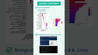 RNA Seq Data Analysis With Linux amp R Course [upl. by Ttesil]