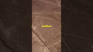 We Found New Nazca Lines Using AI [upl. by Brightman]